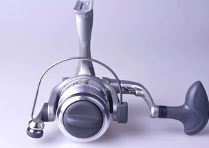 漁具加盟指南 如何選擇優質漁具店加盟項目實現成功銷售